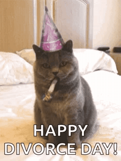 Cat In Party Hat Blowing Horn GIF