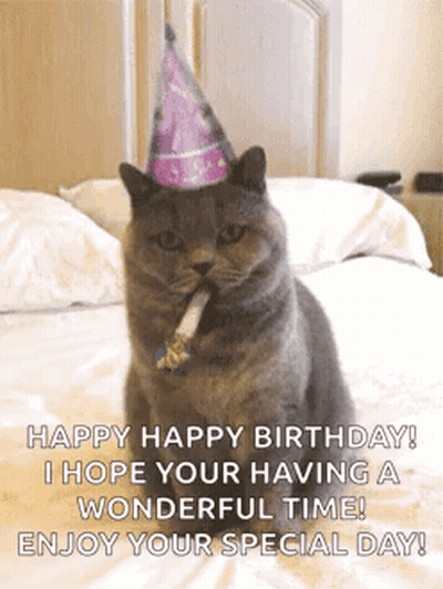 Cat In Party Hat Blowing Horn On Bed GIF