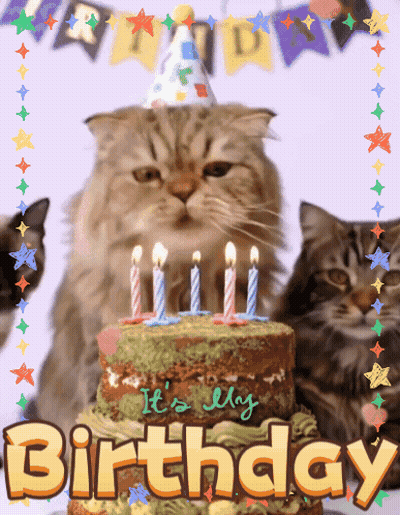 Cat In Party Hat Next To Birthday Cake GIF
