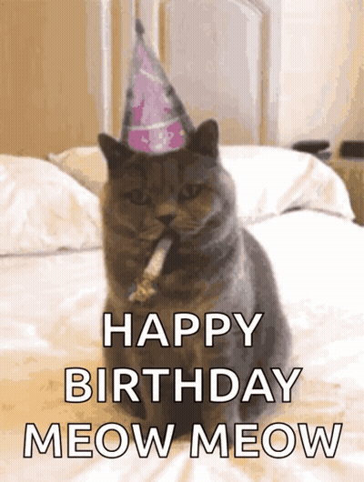 Cat In Party Hat On Bed Saying Happy Birthday Meow Meow GIF