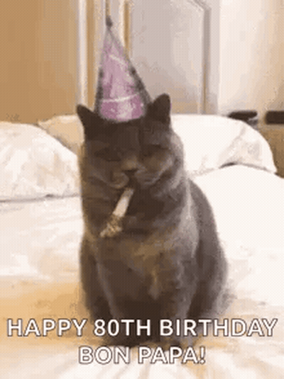 Cat In Party Hat Sitting On Bed With Candle GIF
