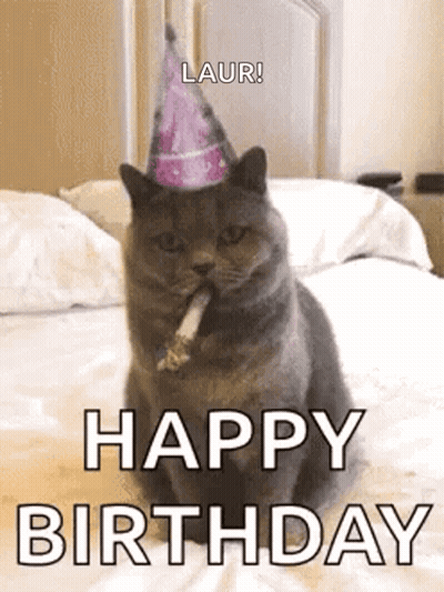 Cat In Party Hat Sitting On Bed With Cigarette GIF