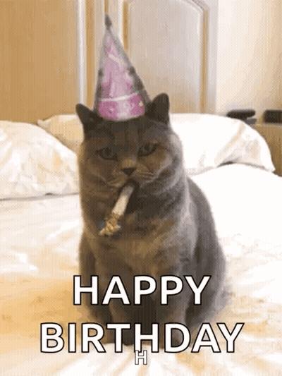 Cat In Party Hat Sitting On Bed With Cigarette GIF