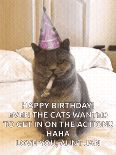 Cat In Party Hat Sitting On Bed With Lollipop GIF