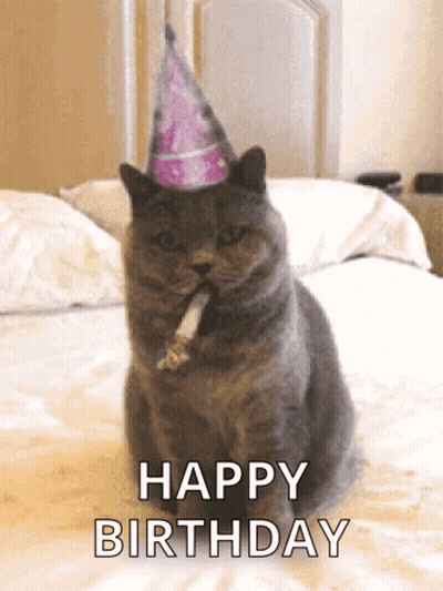 Cat In Party Hat Smoking Cigarette Happy Birthday GIF