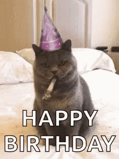 Cat In Party Hat Smoking Cigarette GIF