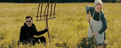 Cat In Party Hat Smoking Cigarette GIF
