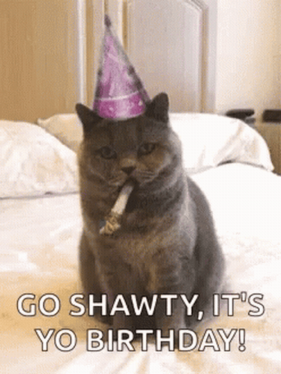 Cat In Party Hat Smoking Says Go Shawty Its Yo Birthday GIF