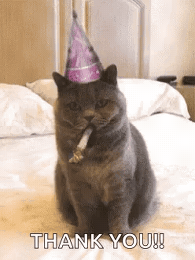 Cat In Party Hat Smoking GIF