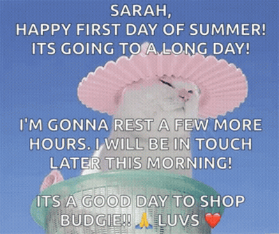 Cat In Pink Hat Happy First Day Summer GIF
