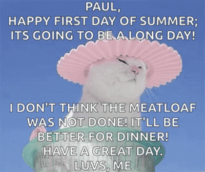 Cat In Pink Hat Paul Happy First Day Of Summer GIF