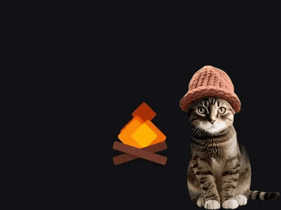 Cat In Pink Hat Sitting By Campfire GIF