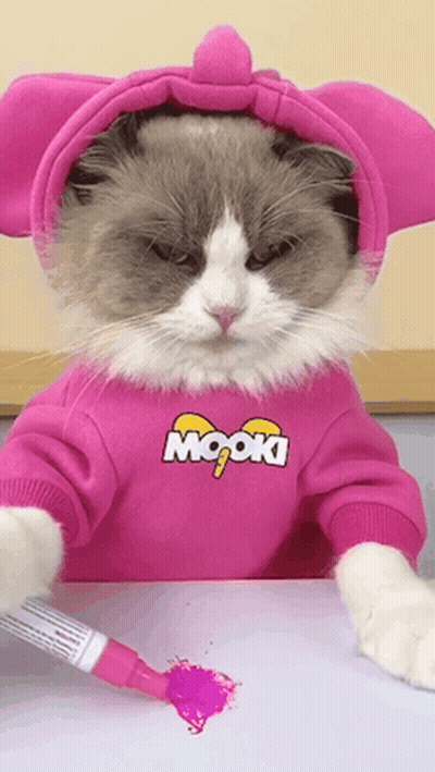 Cat In Pink Mook Sweater Playing With Marker GIF