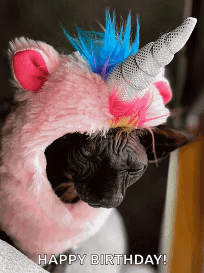 Cat In Pink Unicorn Costume Saying Happy Birthday GIF