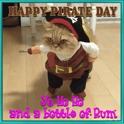 Cat In Pirate Costume Saying Happy Pirate Day GIF