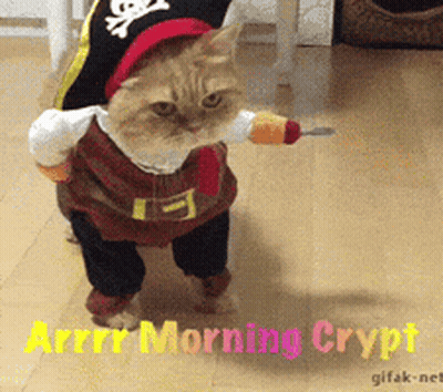 Cat In Pirate Costume With Sword GIF
