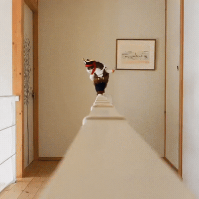 Cat In Pirate Hat Standing On Railing GIF