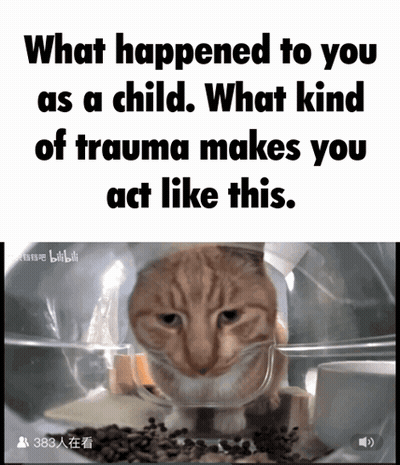 Cat In Plastic Bag What Happened To You As A Child What Kind Of Trauma Makes You Act Like This GIF