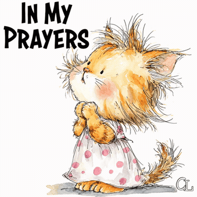 Cat In Polka Dot Dress Praying In My Prayers GIF