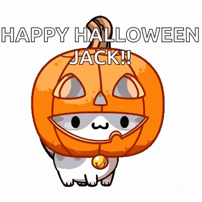 Cat In Pumpkin Head Saying Happy Halloween Jack GIF