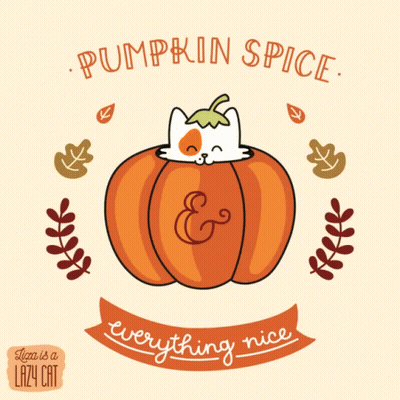 Cat In Pumpkin Saying Pumpkin Spice Everything Nice GIF