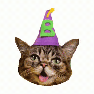 Cat In Purple Party Hat With Green B GIF