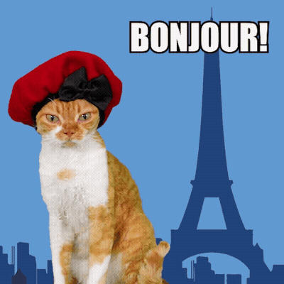 Cat In Red Beret Bonjour GIF