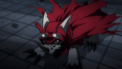 Cat In Red Cape And Goggles Crawling GIF
