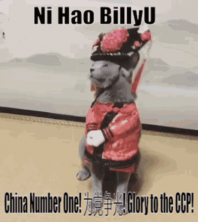 Cat In Red Jacket And Hat GIF