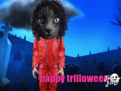 Cat In Red Jacket And Pants Happy Trilloween GIF