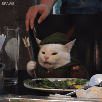 Cat In Robin Hood Costume Holding Arrow GIF