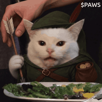Cat In Robin Hood Costume Holding Arrow Over Salad GIF