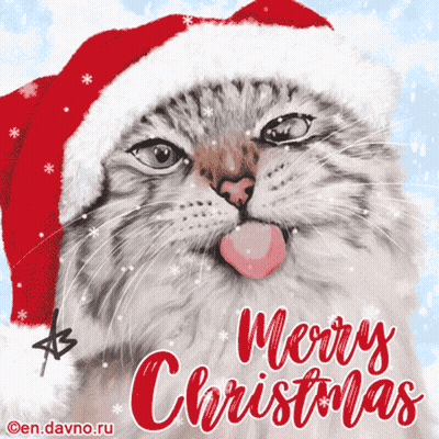 Cat In Santa Hat Merry Christmas GIF