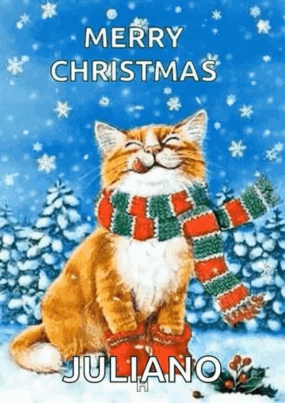 Cat In Scarf And Boots Saying Merry Christmas Juliano GIF