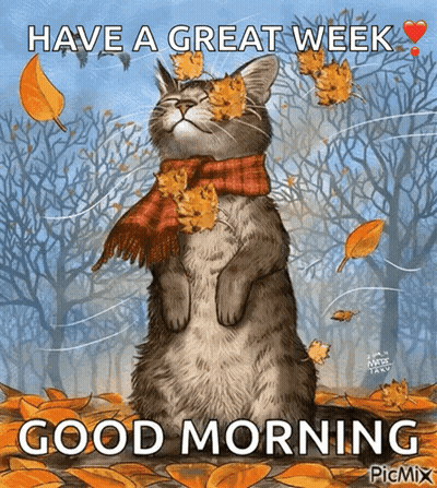 Cat In Scarf And Leaves Saying Have A Great Week Good Morning GIF