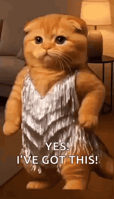 Cat In Silver Dress: Yes I've Got This GIF