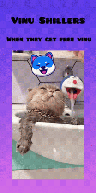 Cat In Sink Vinu Shillers When They Get Free Vinu GIF