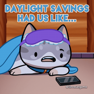 Cat In Sleep Mask Daylight Savings Had Us Like GIF