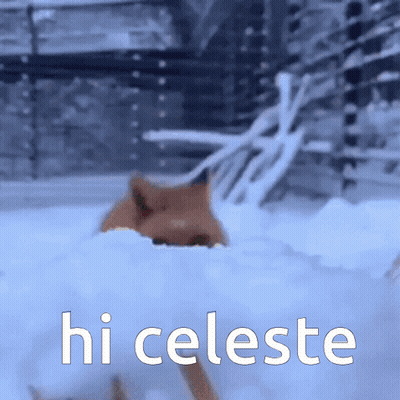 Cat In Snow Saying Hi Celeste GIF