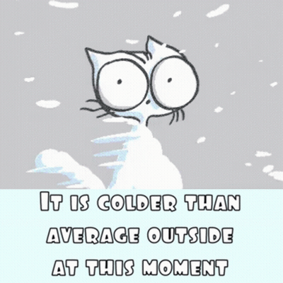 Cat In Snow Saying It Is Colder Than Average Outside At This Moment GIF