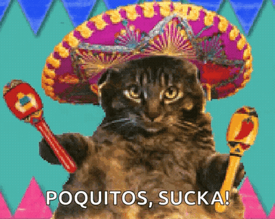 Cat In Sombrero And Maracas Says Poquitos GIF