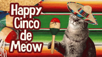 Cat In Sombrero Holding Maraca Happy Cinco De Meow GIF