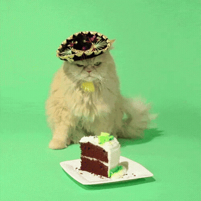 Cat In Sombrero Looking At Cake GIF