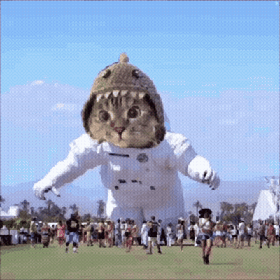Cat In Space Suit And Shark Hat GIF