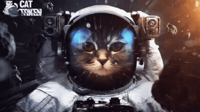 Cat In Space Suit With Cat Token GIF