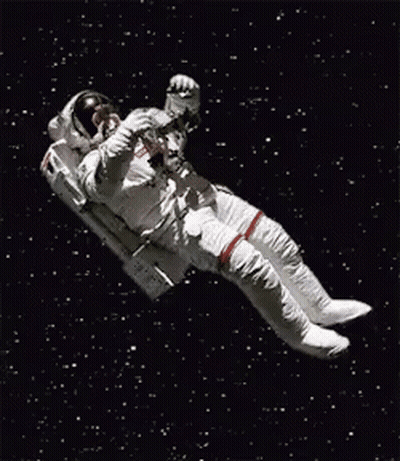 Cat In Space Suit With Croc On Head GIF