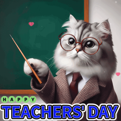 Cat In Suit Holding Pointer At Blackboard Happy Teachers Day GIF