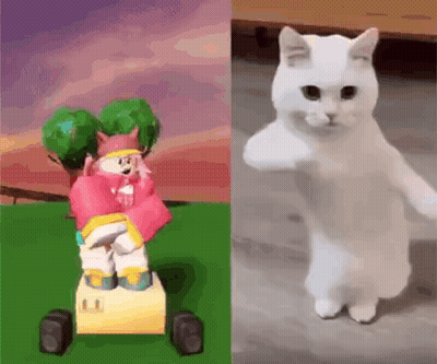 Cat In Sunglasses And Hat Playing DJ Set GIF
