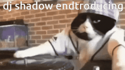 Cat In Sunglasses And Hat Playing DJ Set GIF