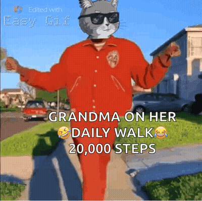 Cat In Sunglasses And Red Jacket Grandma Daily Walk 20000 Steps GIF